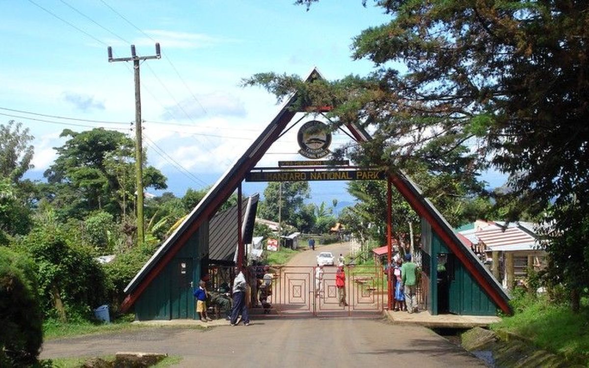 Marangu Gate Marangu Gate, Marangu Route
