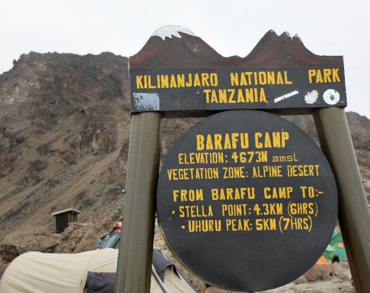 barafu-camp barafu-camp