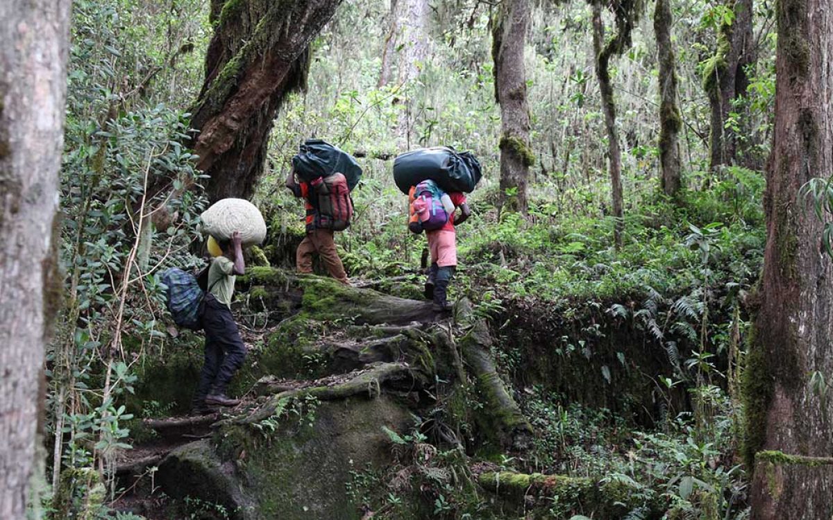 machame 1 (2)