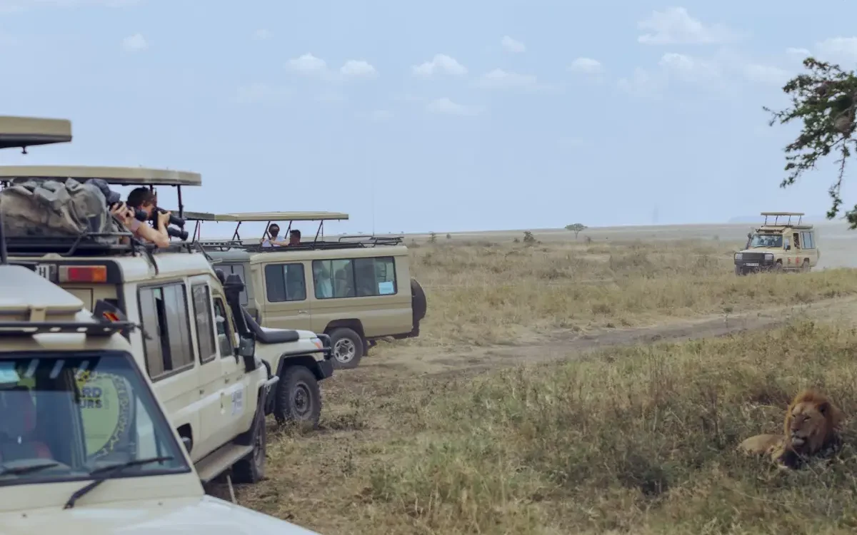 serengeti-horse-riding-safari-adventure-1 serengeti-horse-riding-safari-adventure-1